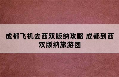 成都飞机去西双版纳攻略 成都到西双版纳旅游团